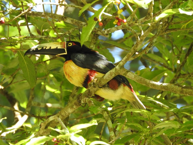 63 Parque Nacional Tikal